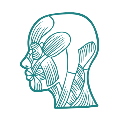 Teal icon of a side profile head highlighting the facial and neck muscle structure, on a transparent background
